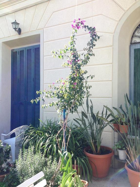 Casa Fornaciari Bed & Breakfast Viareggio Eksteriør bilde